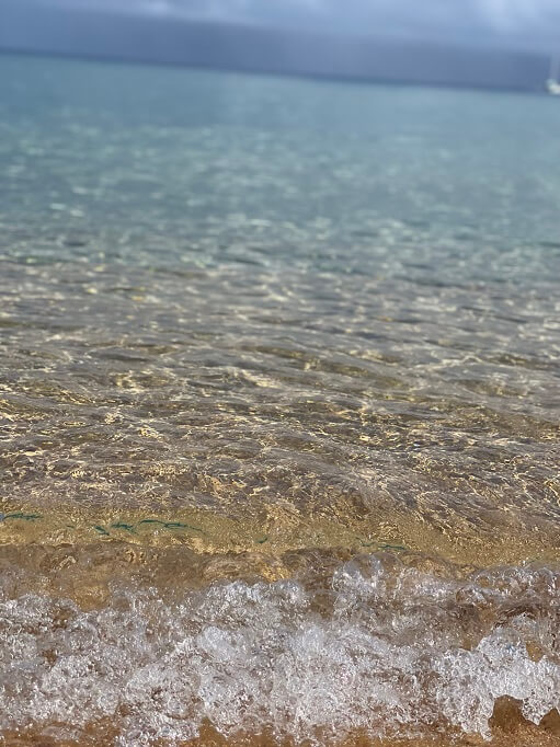 ocean - Nature's Abundance: Learning from the Wealth of the Universe