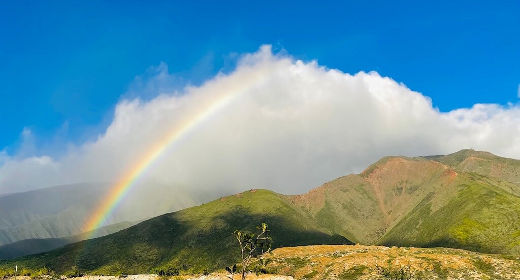 rainbow: The Ultimate Guide to Shifting to Wealth Consciousness